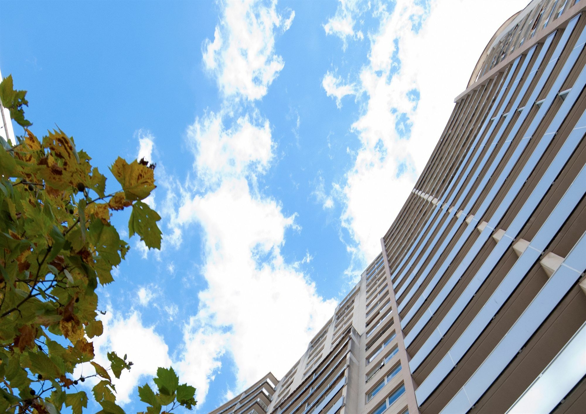 Mantra Chatswood Σίδνεϊ Εξωτερικό φωτογραφία